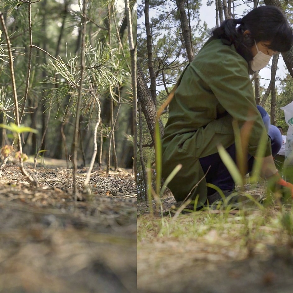 Sharon Harper, Video Stills from Tree, Grove, Forest, Community, 2024, Running time: 15:38 minutes