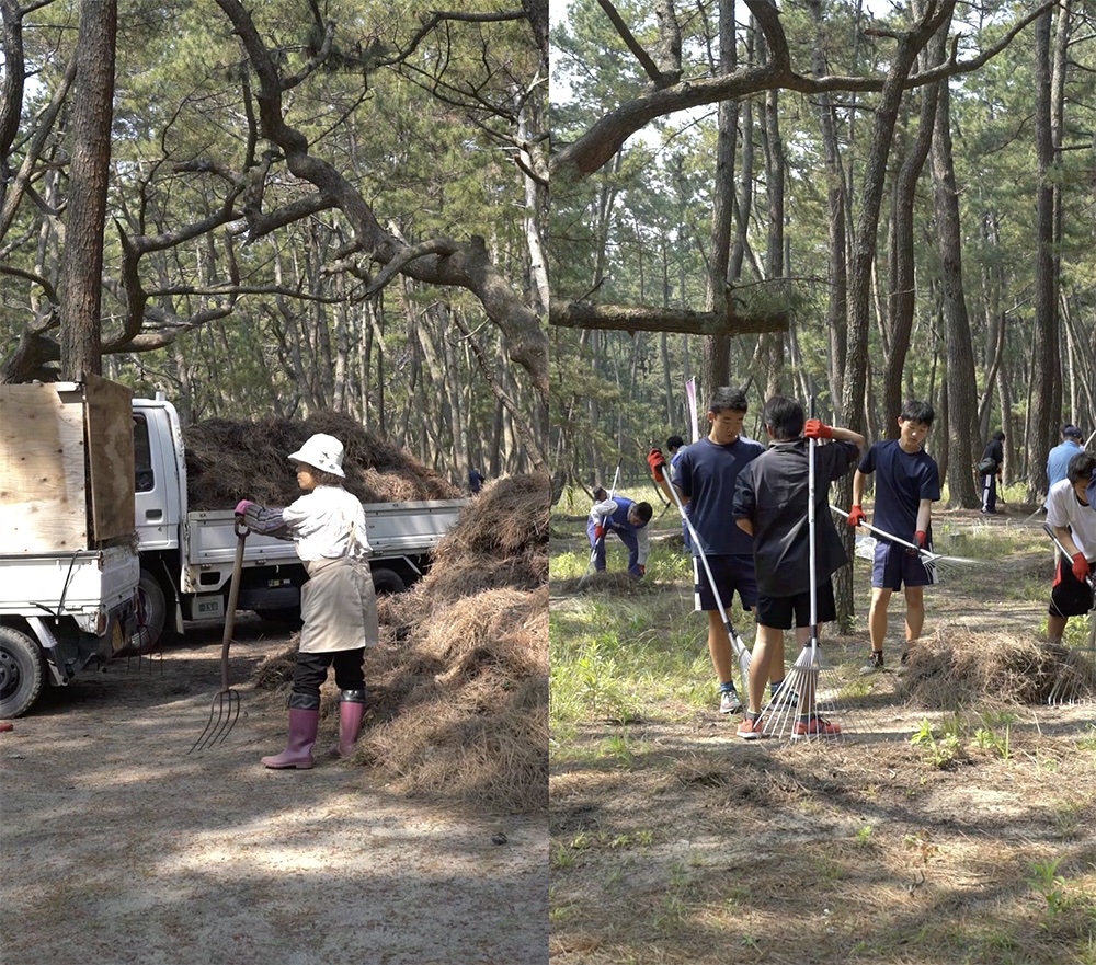 Sharon Harper, Video Stills from Tree, Grove, Forest, Community, 2024, Running time: 15:38 minutes